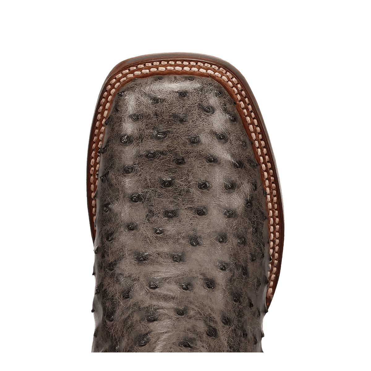 Dan Post Men's Alamosa Full Quill Ostrich Boot DP5013
