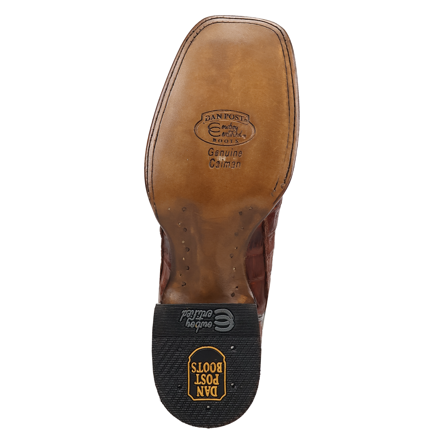 Dan Post Men's Marsh Caiman Boot DP5239