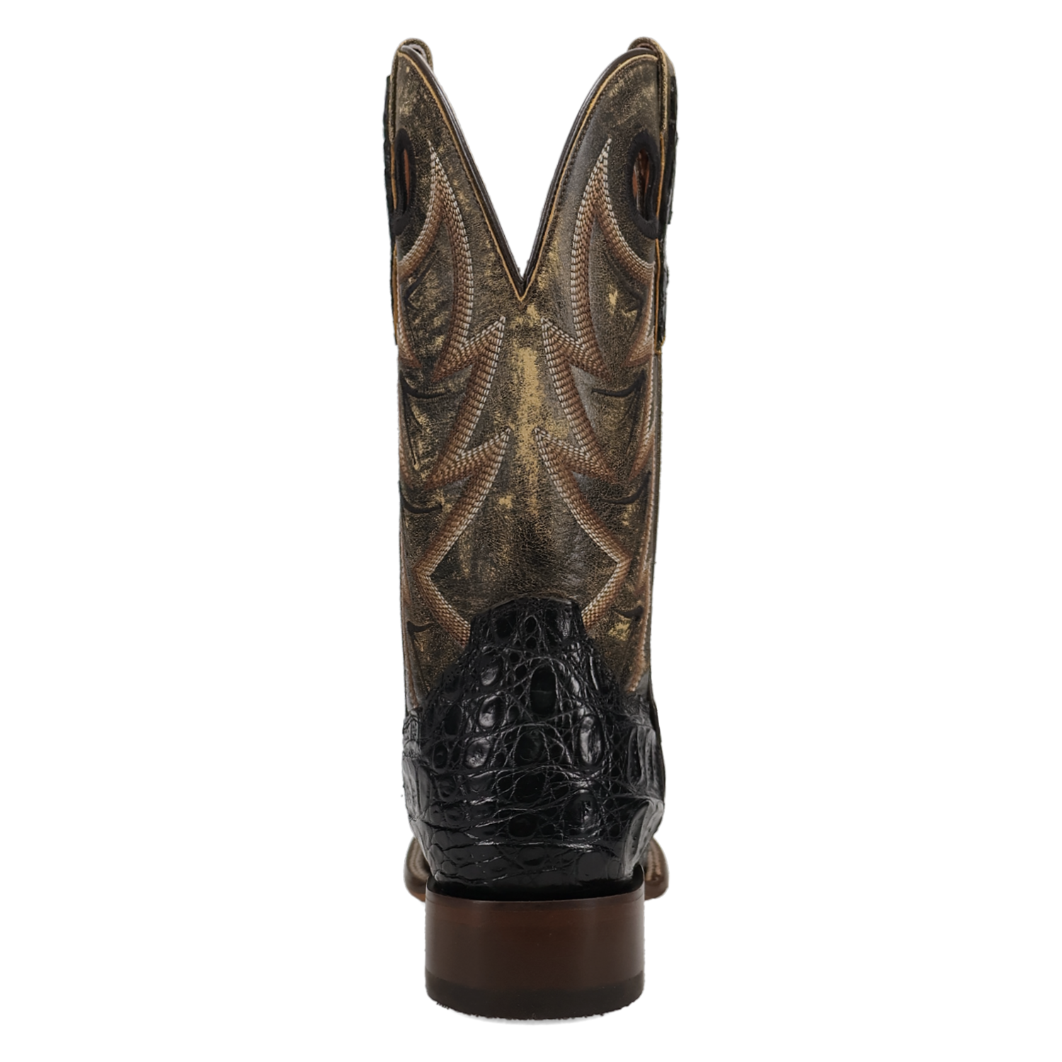 Dan Post Men's Marsh Caiman Boot DP5240