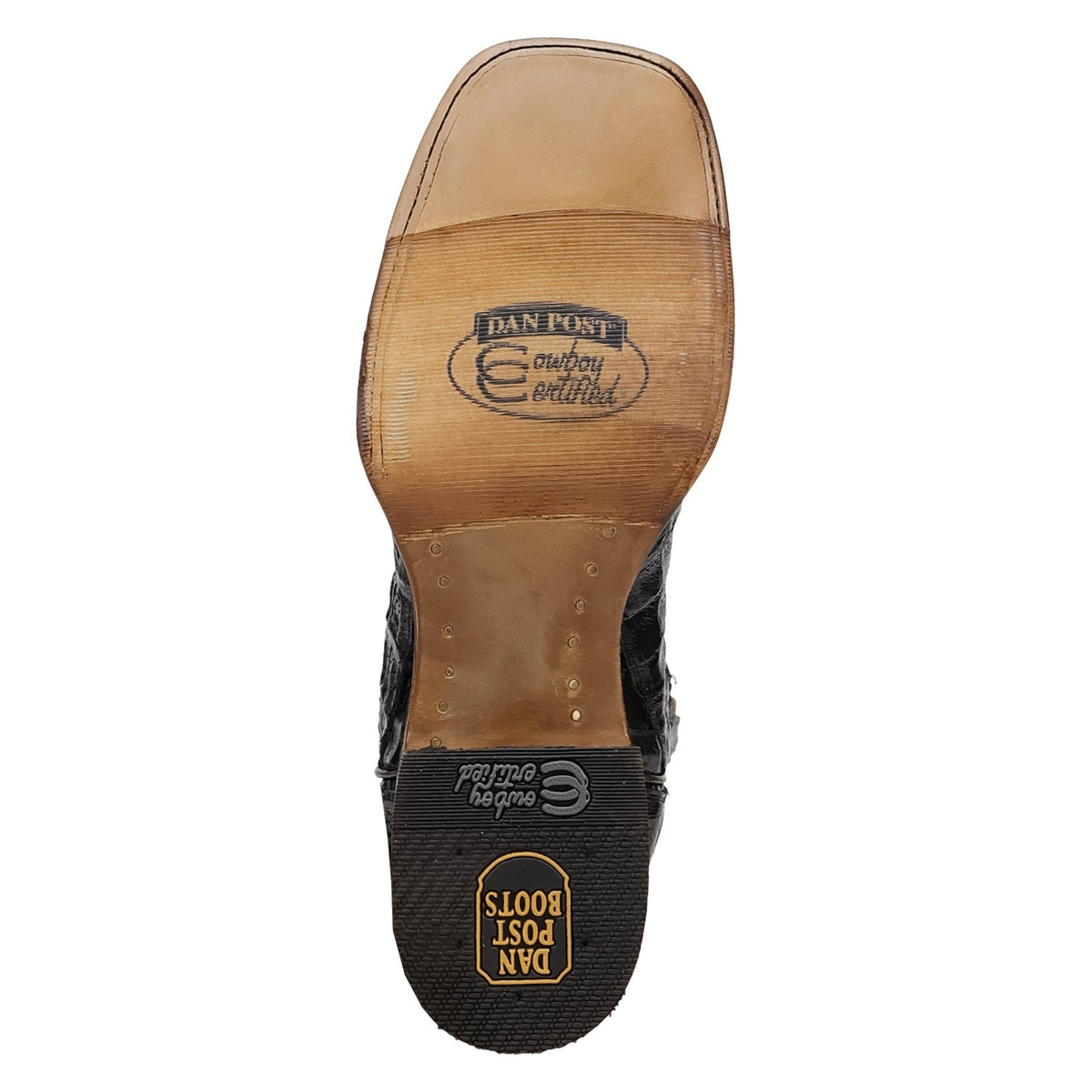 Dan Post Men's Marsh Caiman Boot DP5240