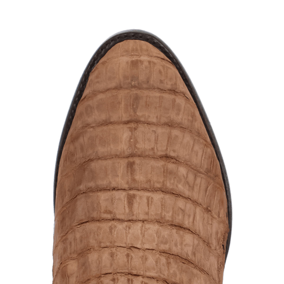 Dan Post Men's Makara Caiman Boot DP7036