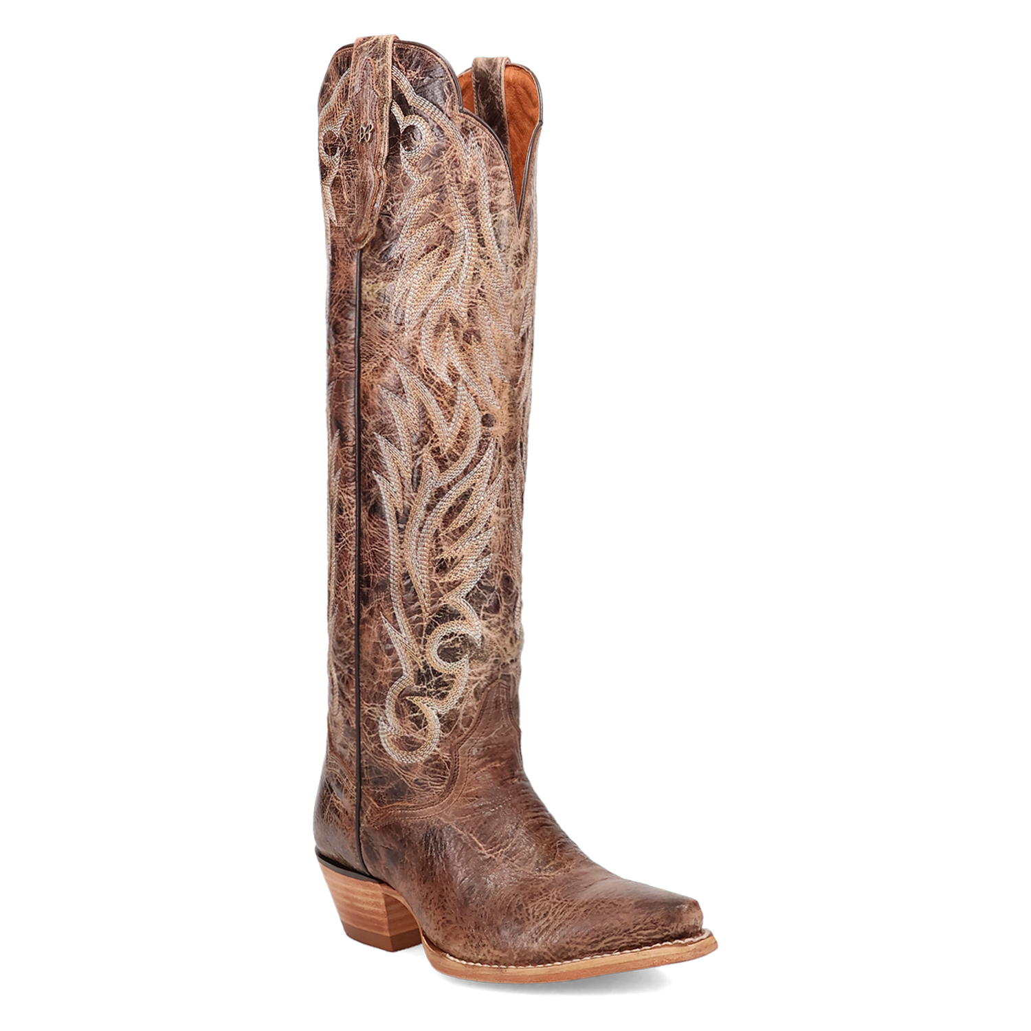 Dan Post Women's Rustic Ridge Leather Boot DP7060