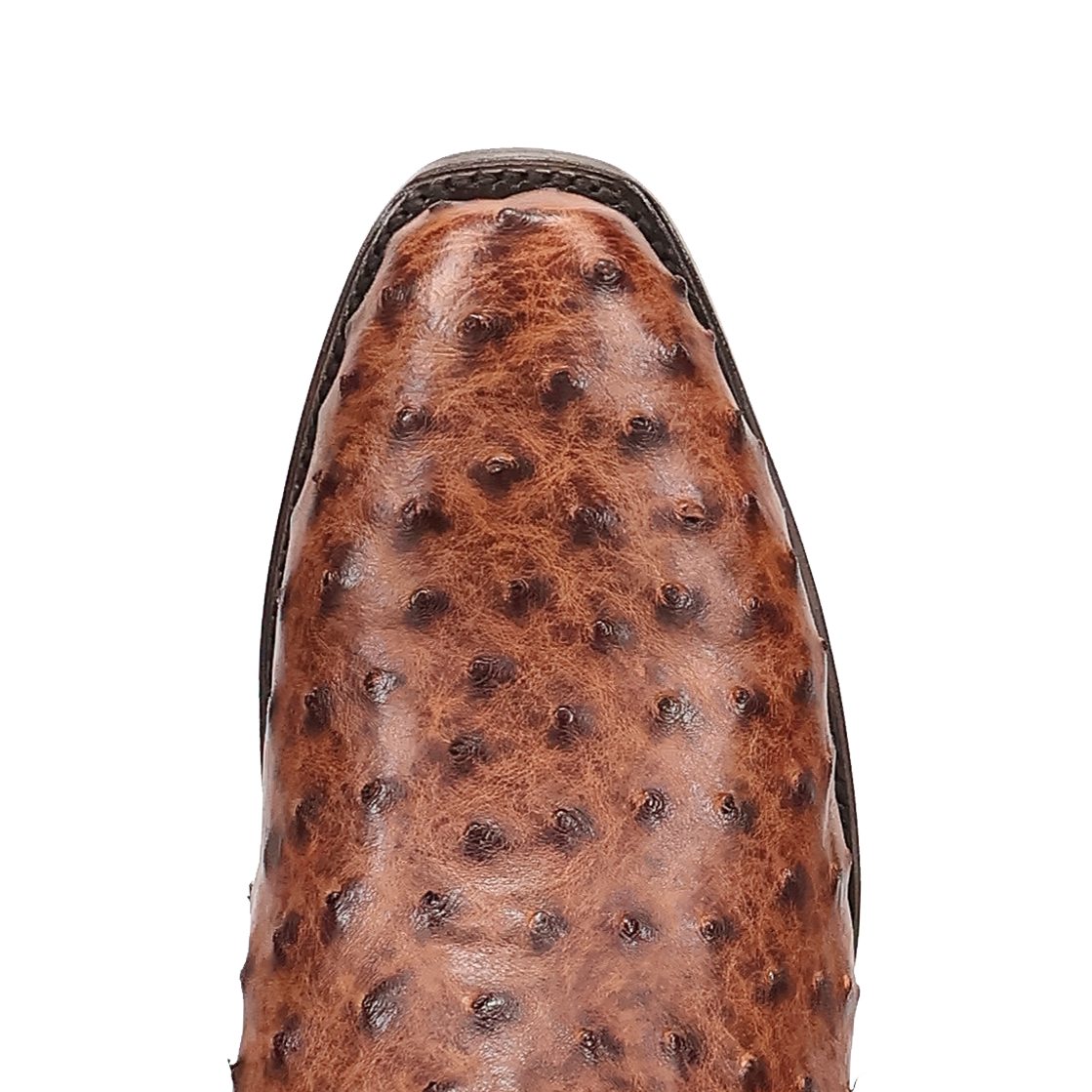 Dan Post Marco Full Quill Ostrich Boot DP7063
