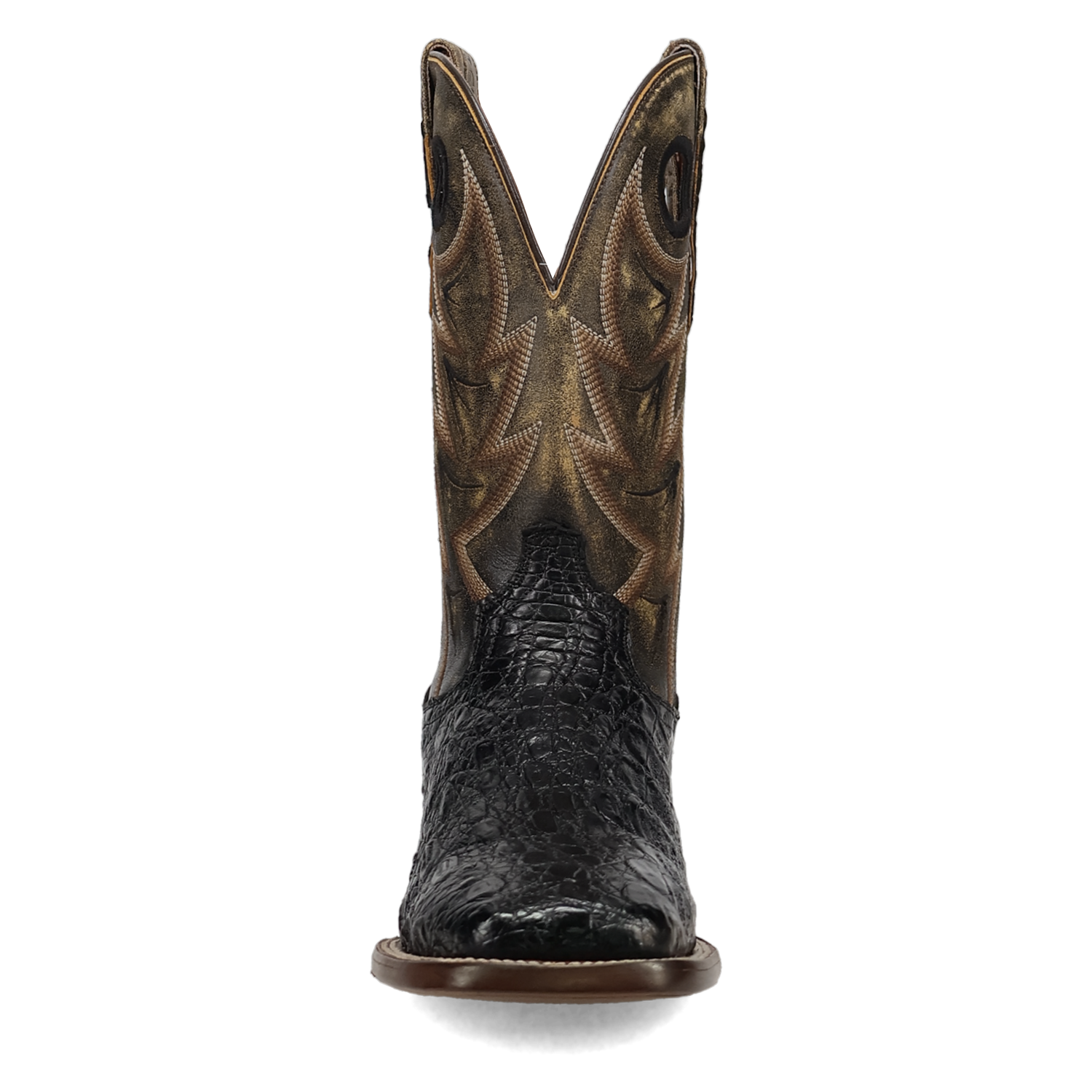 Dan Post Men's Marsh Caiman Boot DP5240