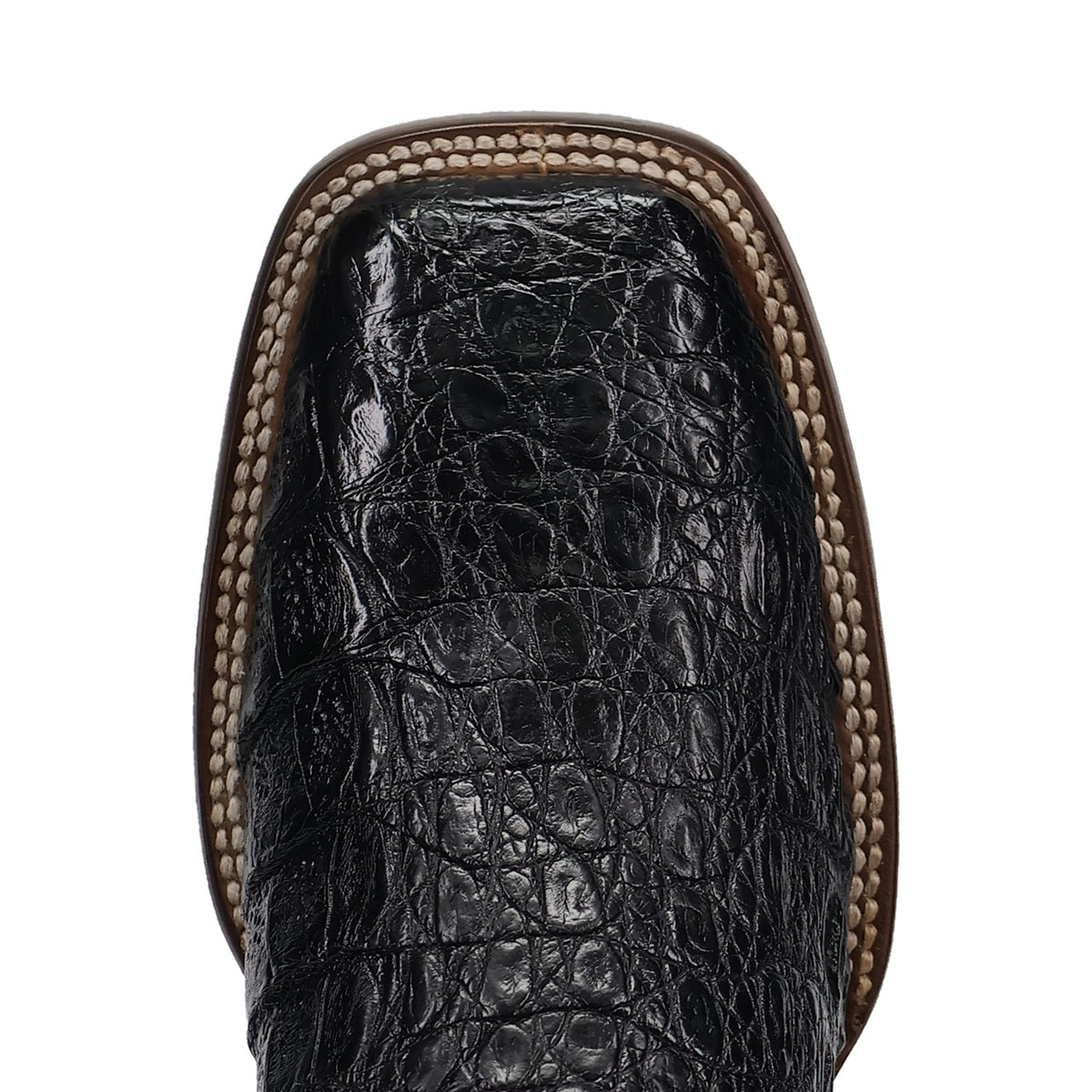 Dan Post Men's Marsh Caiman Boot DP5240