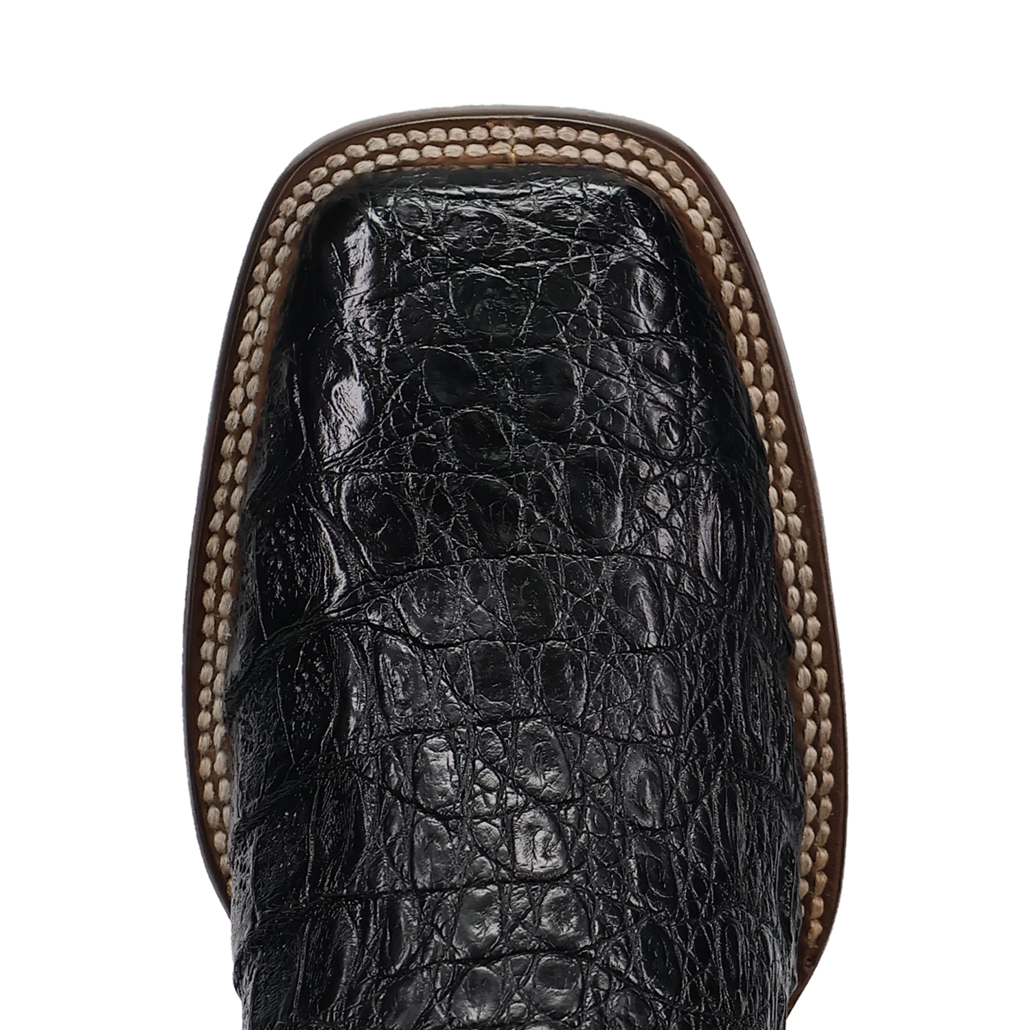 Dan Post Men's Marsh Caiman Boot DP5240