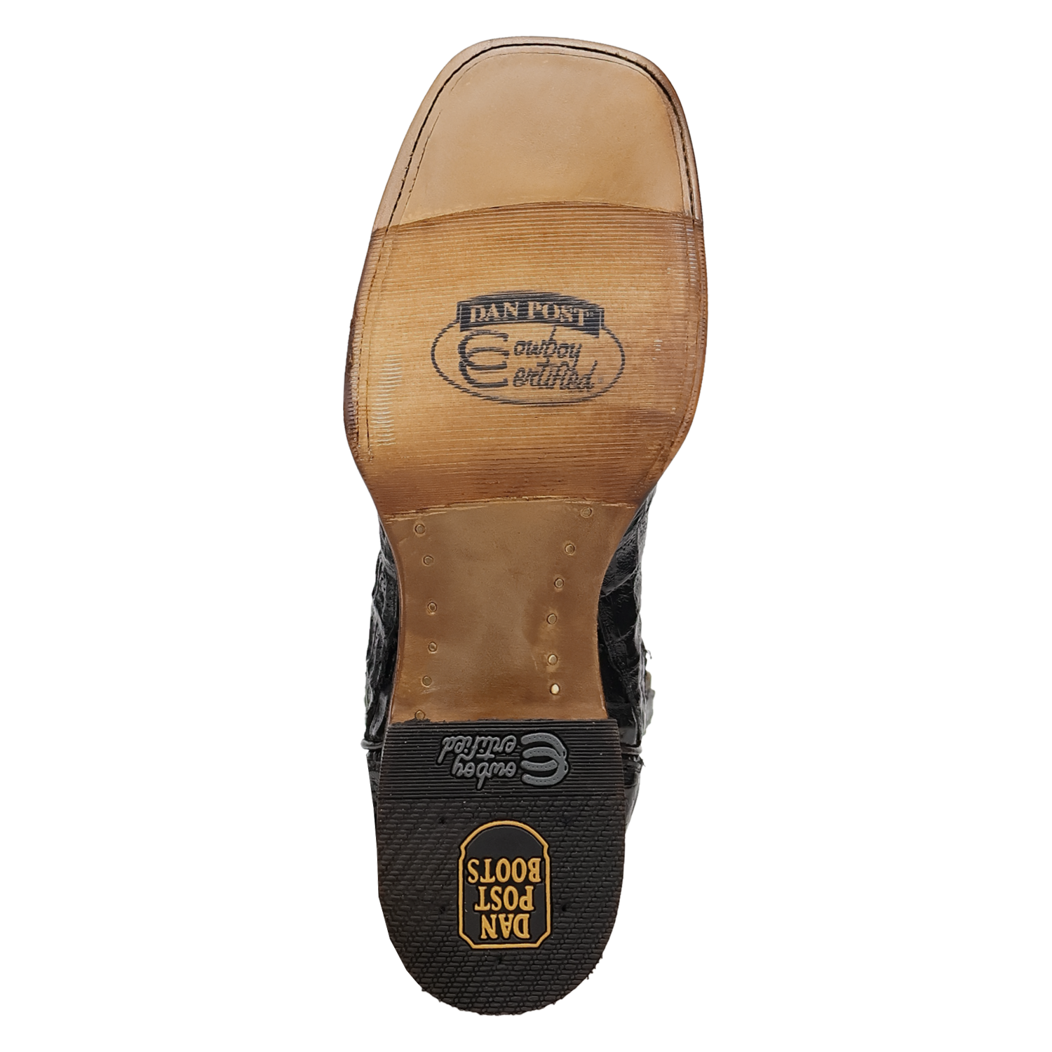 Dan Post Men's Marsh Caiman Boot DP5240