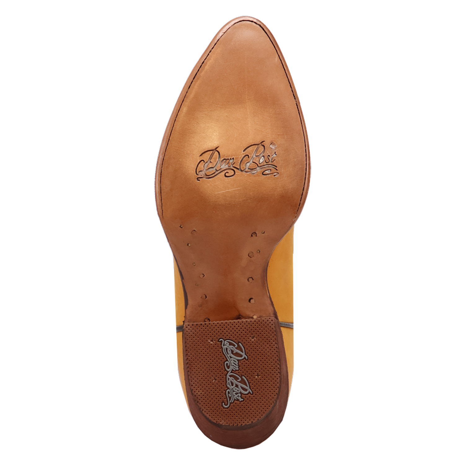 Dan Post Women's Sunrise Canyon Leather Boot DP7030
