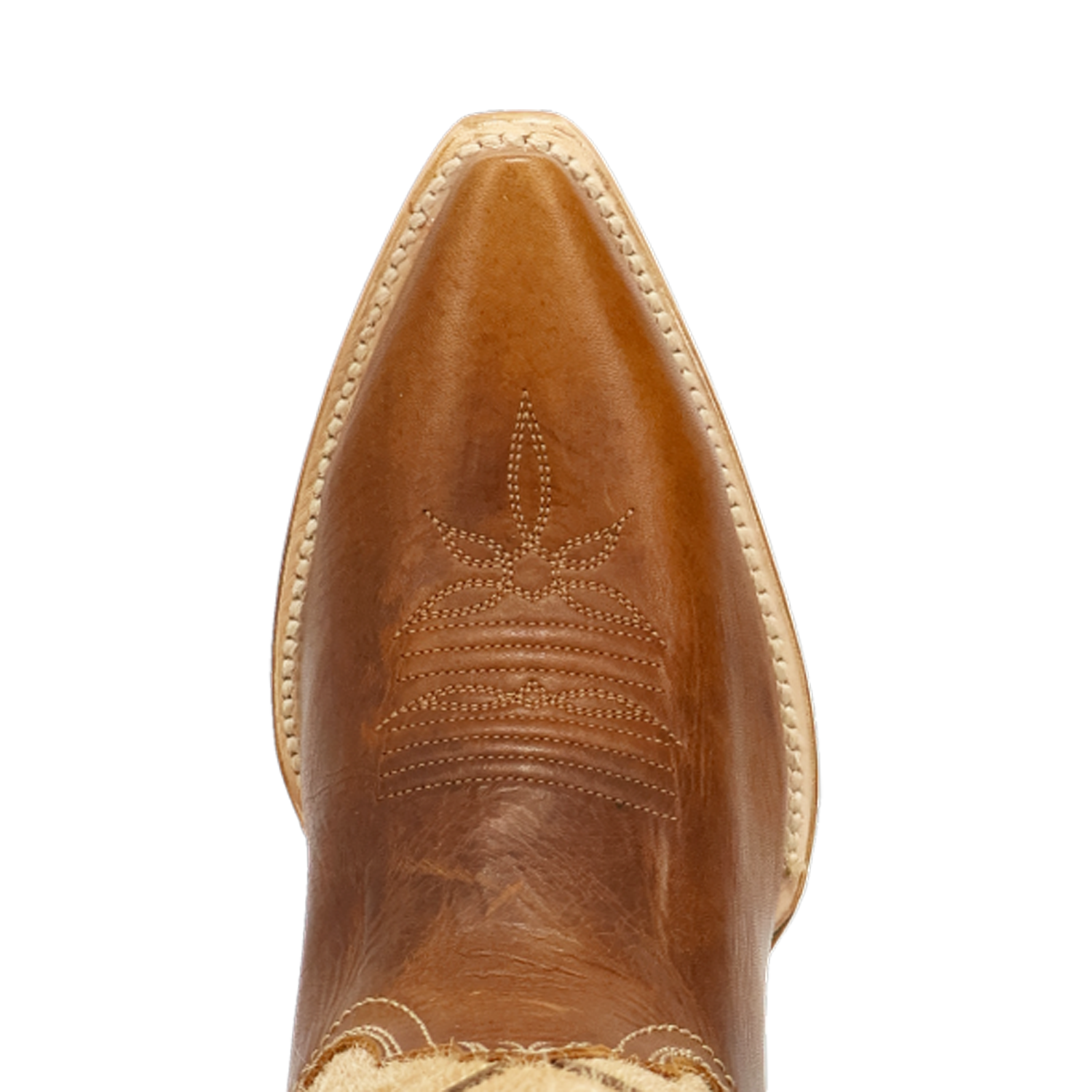 Dan Post Women's Dayla Leather Boot DP7059