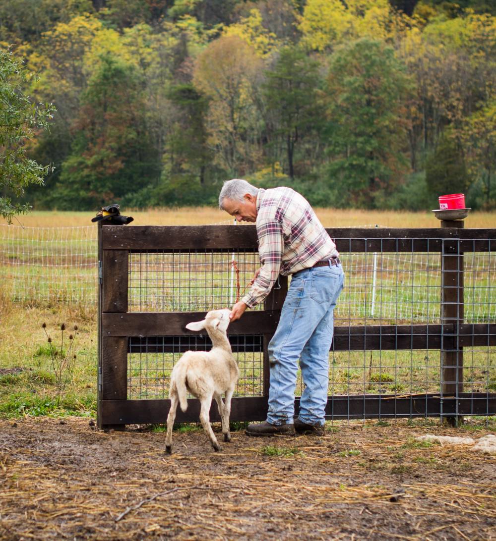 Farm & Ranch Boots