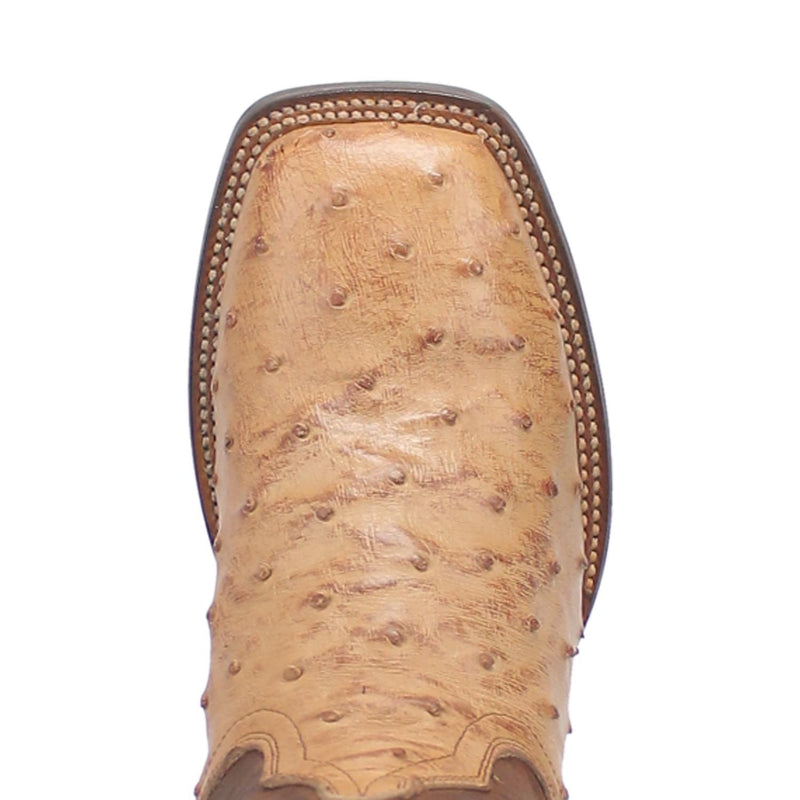 Dan Post Alamosa Men's Ostrich DP4184